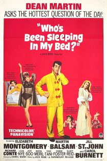 دانلود دوبله فارسی فیلم Who’s Been Sleeping in My Bed 1963